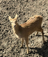 �����԰���ʺϴ���ȥ�棡�˺��� ���滹�и�¹԰