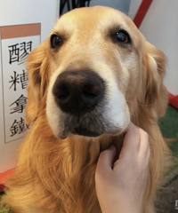 �����˼�������� �����������ѡרҵ  ������ѧʲôרҵ��