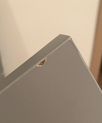 避坑这家全屋定制,吹得天花乱坠结果质量这样?