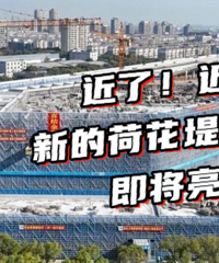 ���ѣ���ֻ���Ĳ˼ۡ���