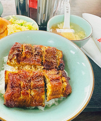 ����ڸ��ر�ϸ����Ŵ����̿�����⽹���ۣ������������