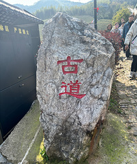 �����˶����������ĸ��� ���˳��� ���޻�ţ��ŵ�ͽ��5����