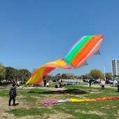 ���빫԰�ķ��ݳ�����