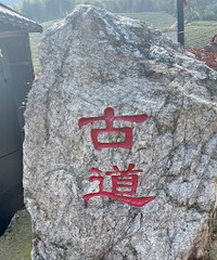 �����˶������渻�� ���޻�ţ��ŵ�ͽ��5����