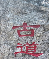 ���޻�ţ��ŵ�ͽ��5����