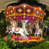 92�꽭��δ��Ů��