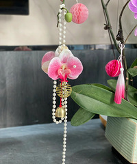 ��˭˭ϲ��������������Ҽ����̫������ ������Χ��