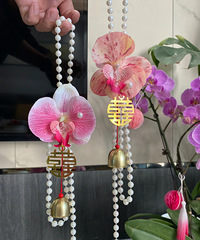 ��˭˭ϲ��������������Ҽ����̫������ ������Χ��