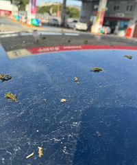 ����ͣһҹ����������̦޺��