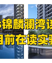 ����Ŀǰ�ڶ�ʵ��Сѧ������ѧ����