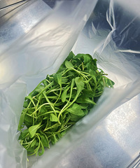 [������ʳ]����û�в���������ģ��峴Ҳ�޵У�