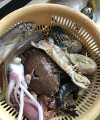 [�����]�ɱ�180Ԫ���������ϳ���ĺ�����