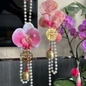 �����ĺ���������Ҽ�