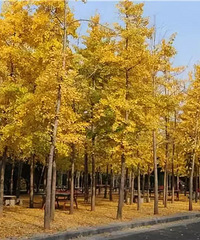 43��ʣŮ���߻飺������ʱˬ��ô���� ����û������ô�