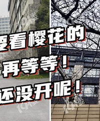 ¥��ǰ��ʵ�ģ�