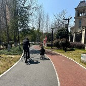 �����������е���Ȥ