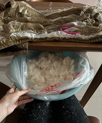 ���Ǹ����ˣ�����6�����޷����Լ����������ޱ���