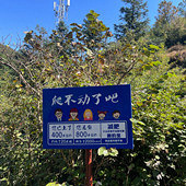 93�걾��Ů��90��