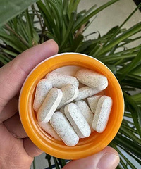 �����ĳ���Ϊ�������ڴ��촮����  ���˾׽�Ƭ �������...