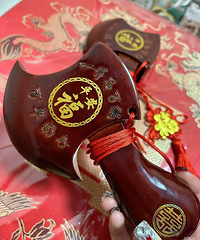 ��������ľ����