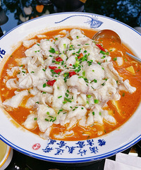 ���ﲻֹ�к����ң�����з��ţ���ҡ�ʳ�Ķ�������