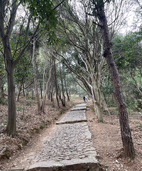 ���ӻ���ͽ�� ����û�����ԵĿ�...