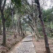 ���ӻ���Ҫ���ù���