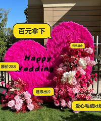 ����������� ʡǮ���Դ���װ�γ�Ƭ�鷿