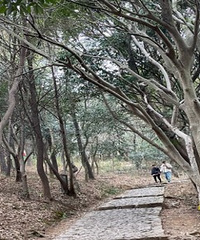 ���ӻ���ͽ�� ����û�����ԵĿ�