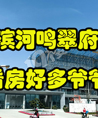 �̳Ǳ������丮������...