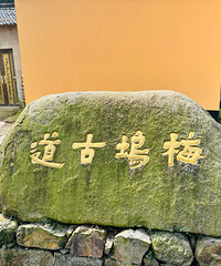 ����ͽ������������÷��ŵ�������5���� �κ��������