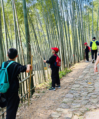 ����ͽ������������÷��ŵ�������5���� �κ��������