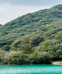 ����÷��ŵ� �κ��������