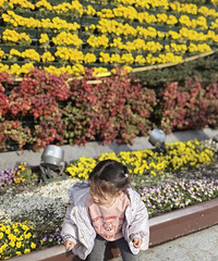 ��ʰ�쵵�����