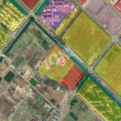 ����Ҫ�б�ѩ�����ˣ�