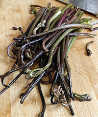 ���ʲô�ˣ���ާ���𣿳������ڸ��е������