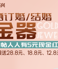 ɹ����/������ ������5Ԫ�ֽ�����