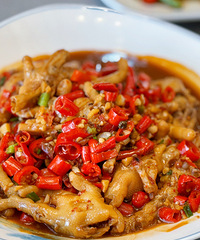 0798�Ӳ�¥װ�������˻������²ˣ� Ƥ����������ر�