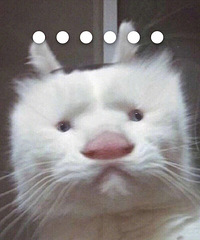 ��ס�α��ֵ�������ϼ��˻����ķɻ�����ǰһ��Сʱ���ü���