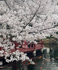 �ֵ���ӣ�������ļ��� ���Ĳ������