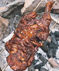 ����¶Ӫ��������ʳ