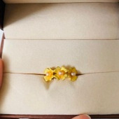 �ر��µĽ���