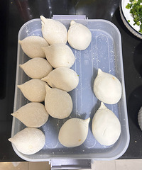 ������˭֪����û�гԹ�?�̿���ԲYYDS��