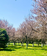 ���Ƽ���ĩ���޺õط�