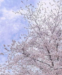 19¥�������氮�ģ�����������������Ů���ѣ�