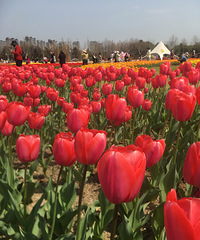 85������Ů �׸�ͬ�����һ��