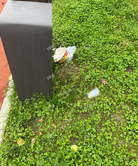 ��ĩ�����빫԰�ܶ���һ��¶Ӫ ����û�˵�ʱ�����������