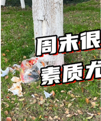 ���빫԰�ֳ�ʵ�ġ���