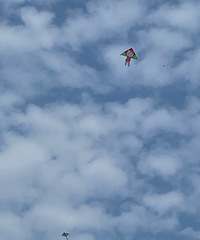 ������10����Ů��