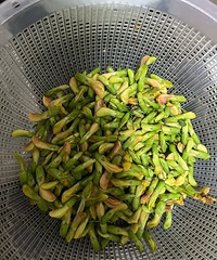 �������ʣ������Ի���������΢΢��~